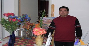 Sebastião peres 62 anos Sou de Ponta Grossa/Paraná, Procuro Encontros Amizade com Mulher